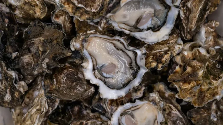 Raw Oysters at Illinois Steakhouse Leave Retired Firefighter Hospitalized With Brain Injury More Than a Year Later - Featured image