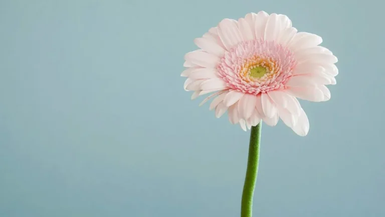 Fresh Flowers Transform Rooms in Minutes - Featured image