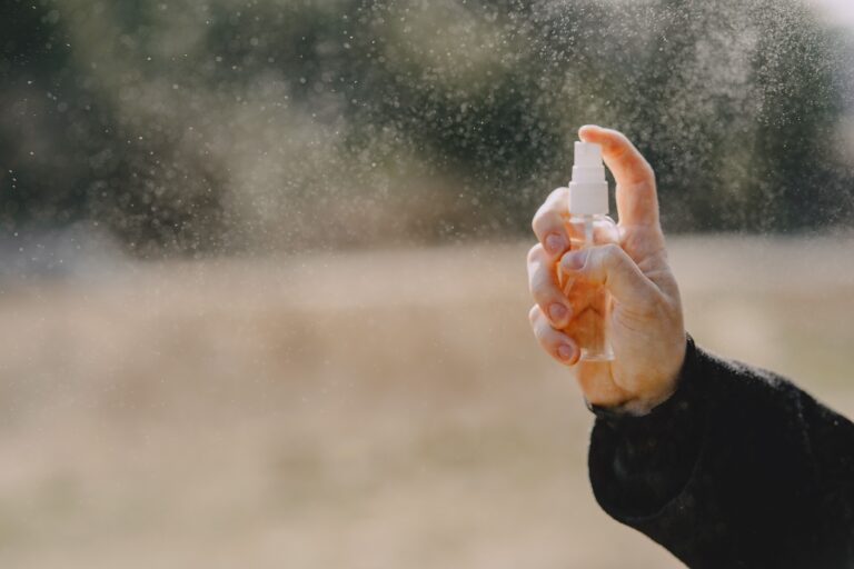 Why Skunks Spray More Often in One Specific Month Than Any Other - Featured image