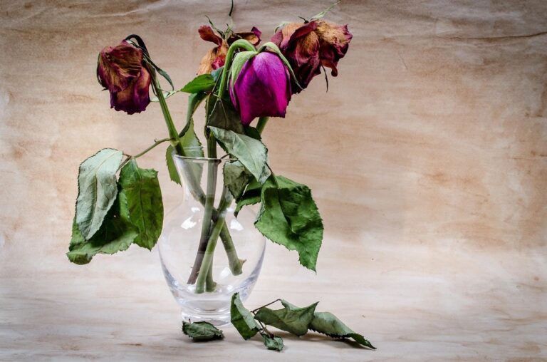 The Vase Water Additive Florists Use That Most People Skip - Featured image