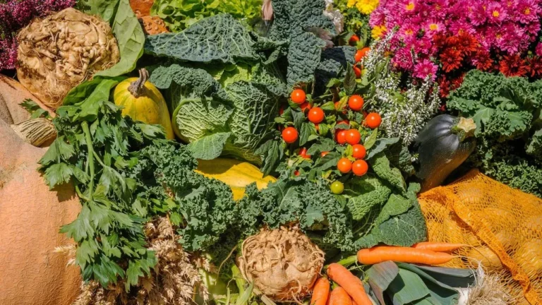 The Narrow Window That Shapes This Year’s Autumn Vegetable Gardens - Featured image