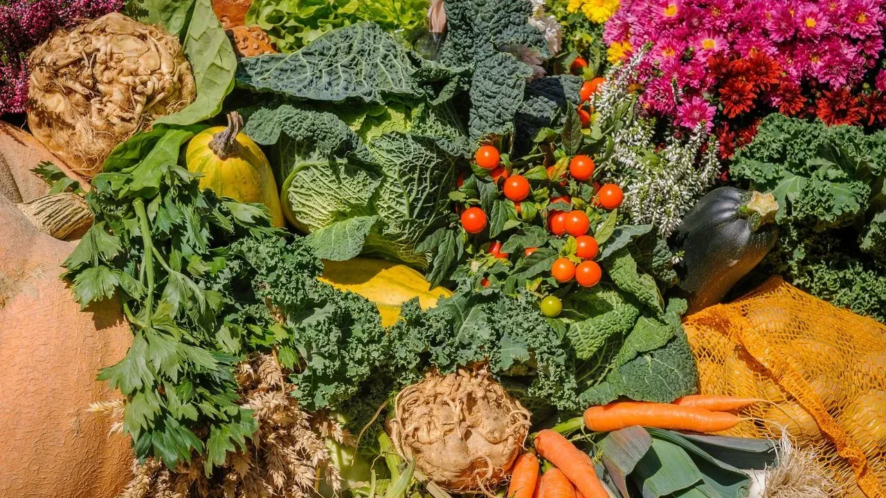 The Narrow Window That Shapes This Year’s Autumn Vegetable Gardens