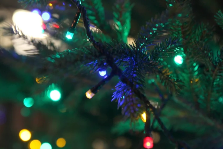 Why Christmas Lights Left Up Too Long Become a Fire Marshal's Top Concern - Featured image