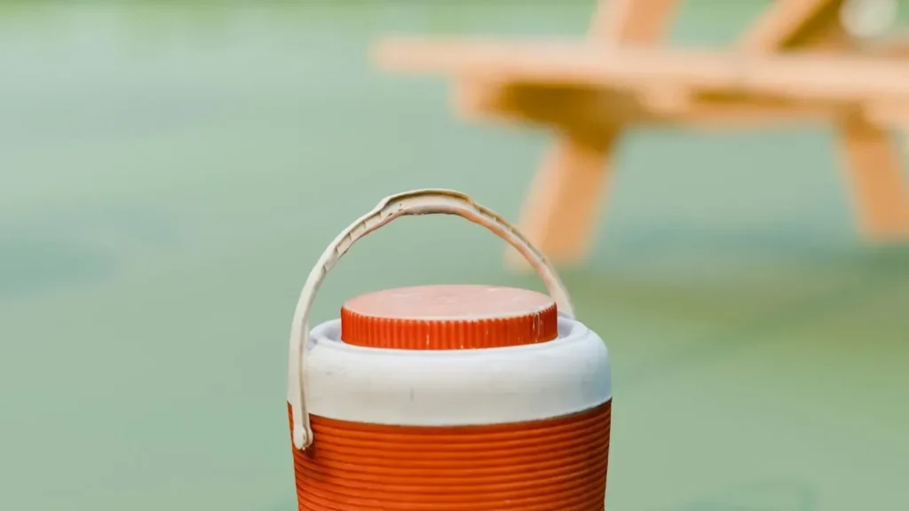 Picnic Coolers Reveal Tough Corals for Palau Reefs - Featured image