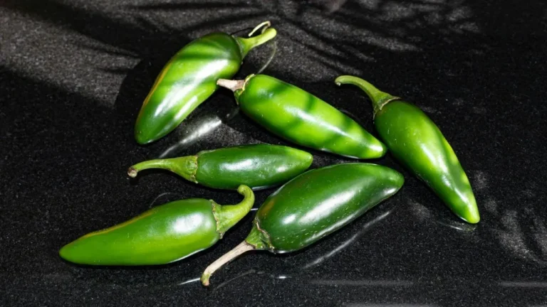 USDA Public Health Alert Flags Jalapeño-Containing Meat Products in Ongoing Salmonella Investigation - Featured image