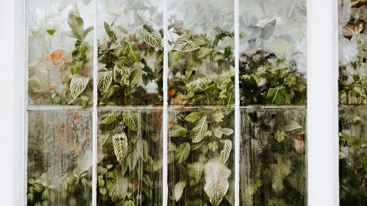 Gardeners Extend Their Seasons with Near-Free Greenhouses Crafted from Repurposed Materials