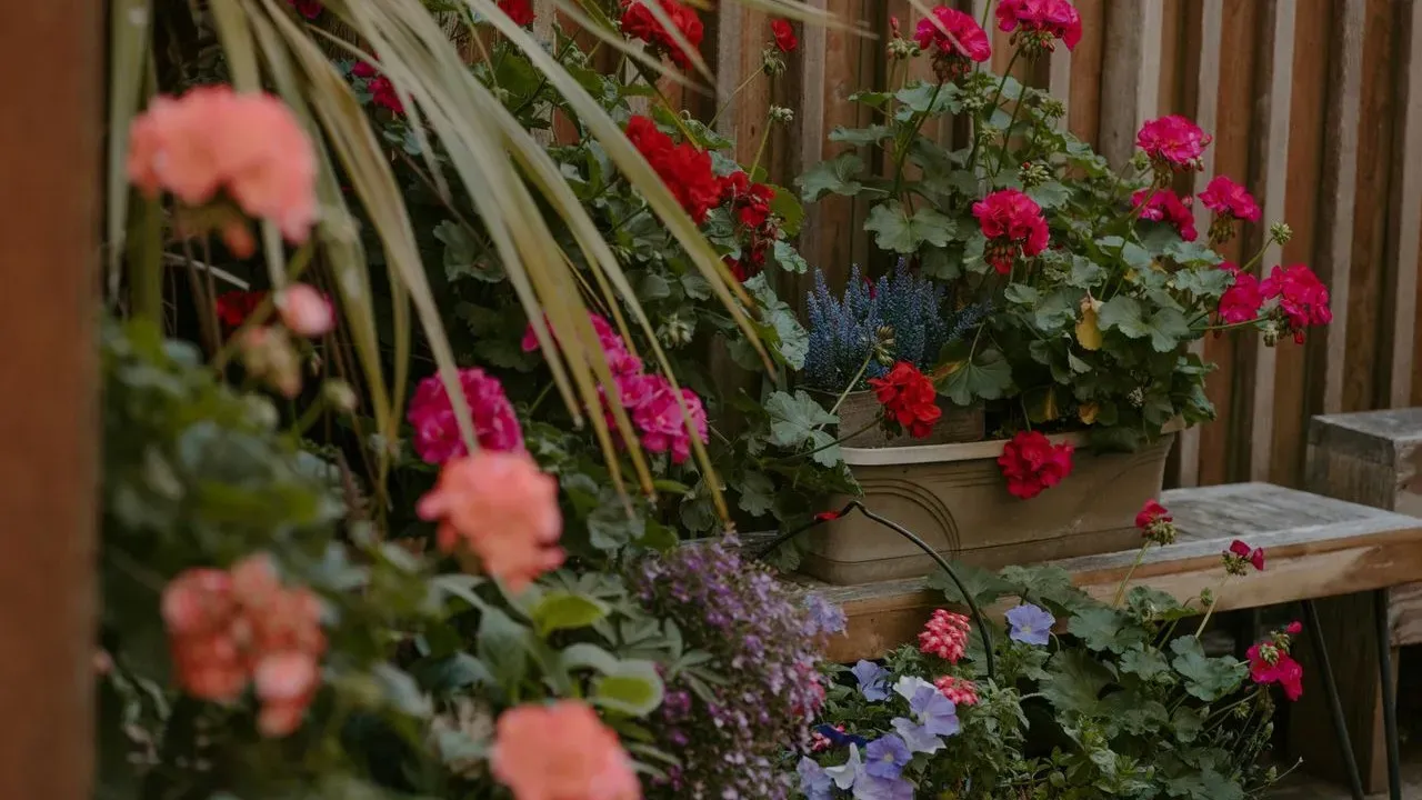 Kaleb Wyse's Tips for High-Impact Container Gardens
