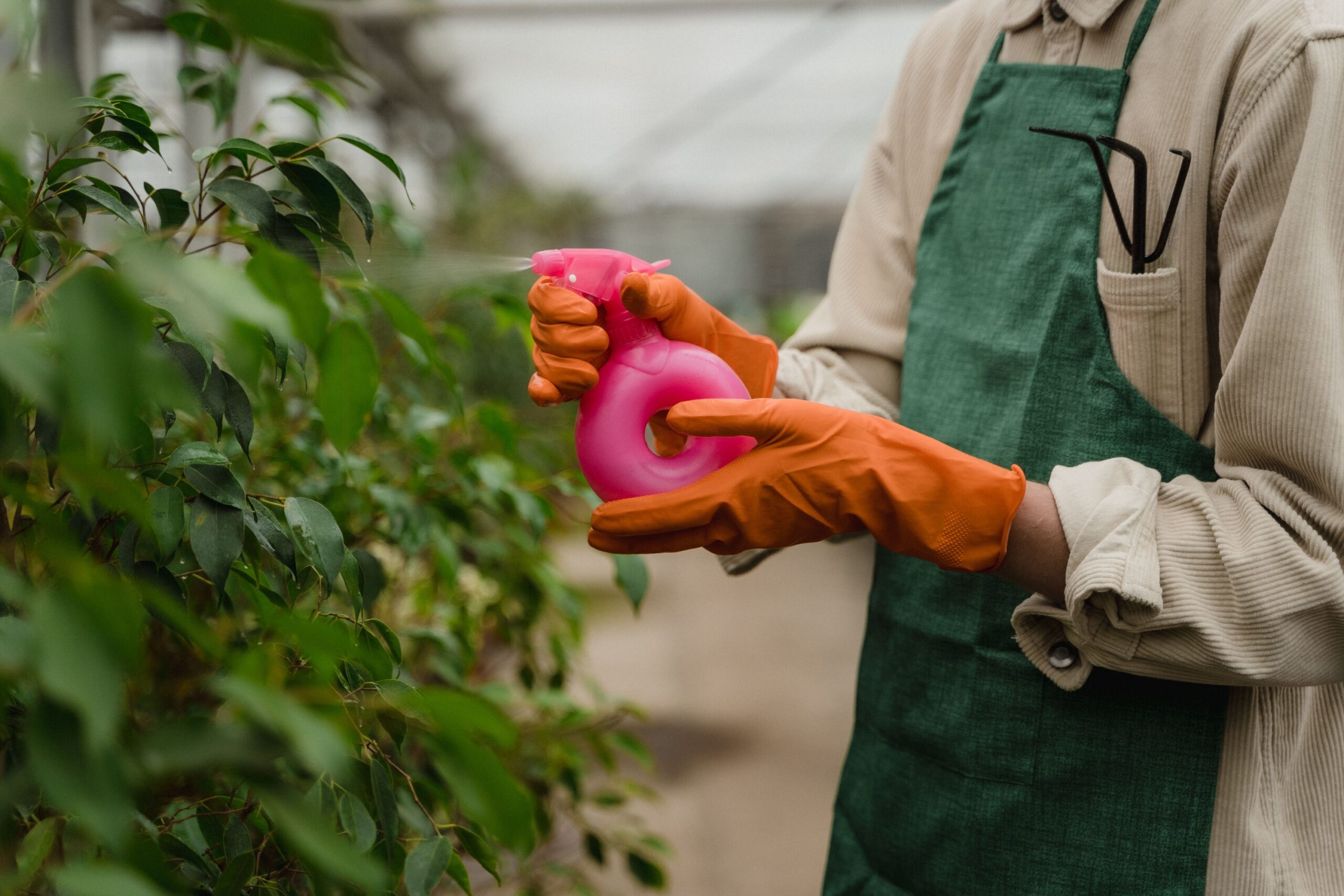 The Hand-Crank Garden Sprayer Style Worth More Than a New One