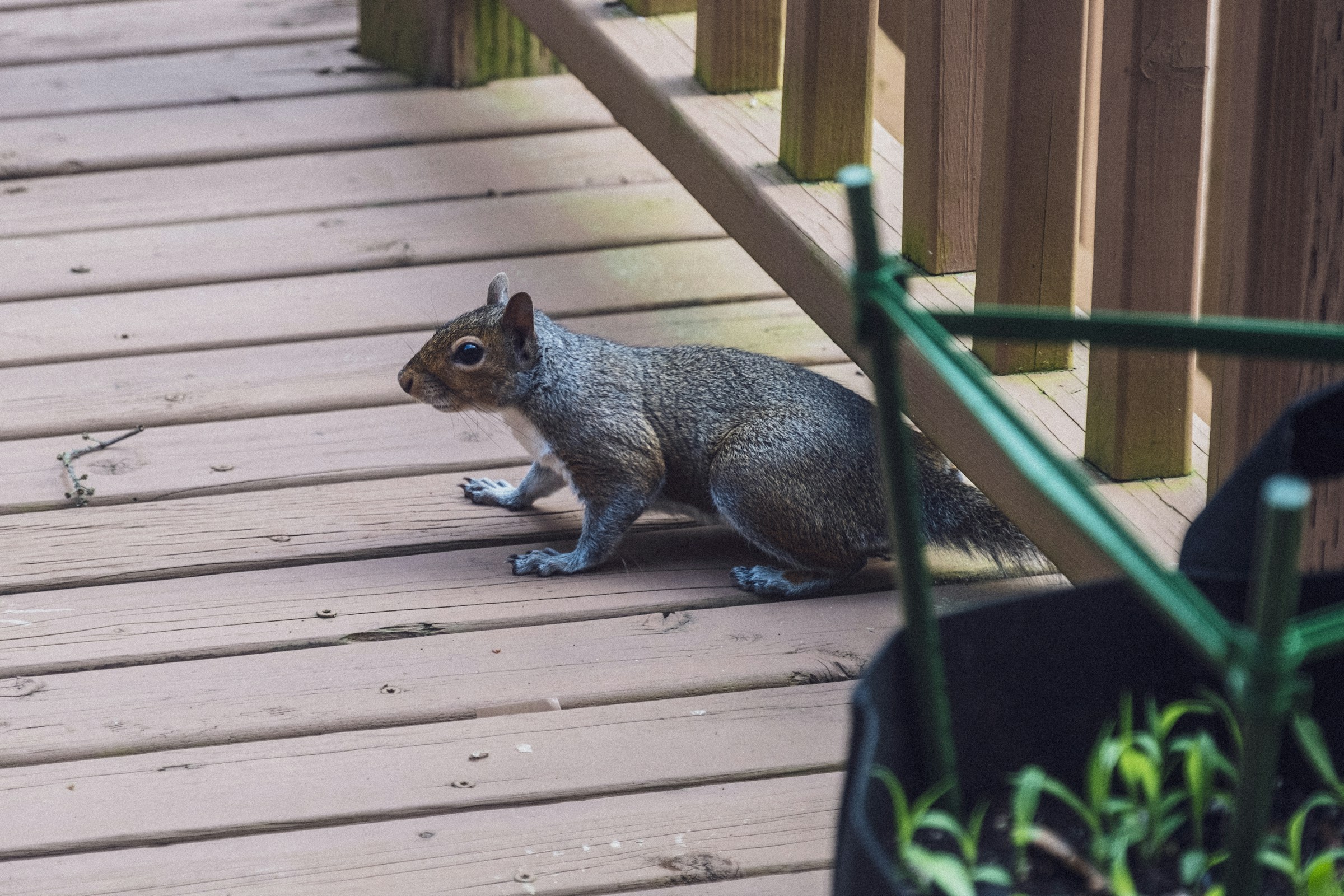 The Deck Railing Mistake Home Inspectors Say Costs Sellers the Most