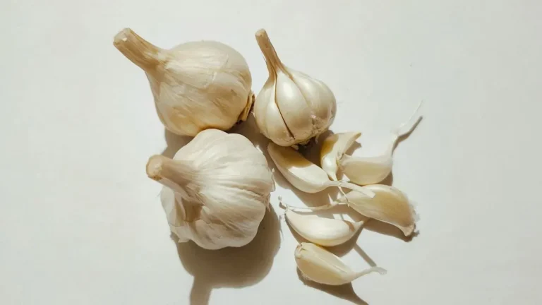 Excess Garlic From the Garden? How to Extend Its Use Through the Year - Featured image