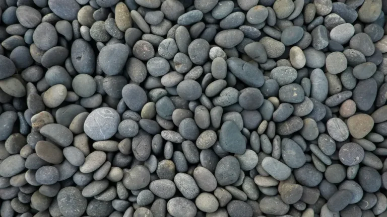 Why More Homeowners Are Choosing Pebble Gardens Over Traditional Lawns - Featured image