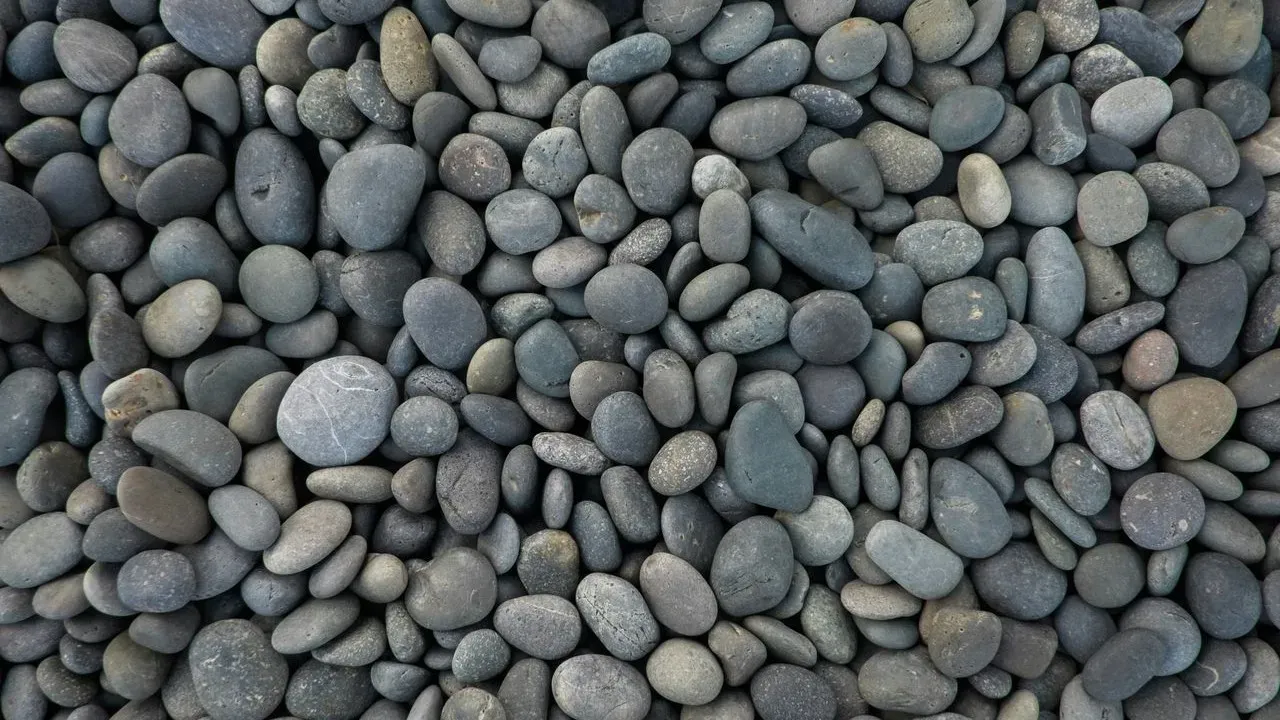 Why More Homeowners Are Choosing Pebble Gardens Over Traditional Lawns