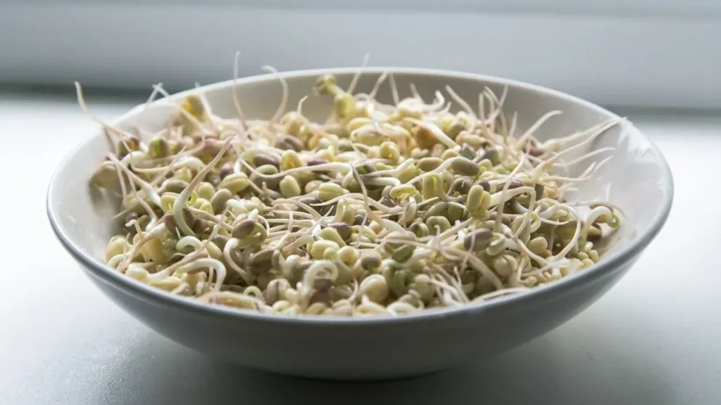 Everything Sprouts Recalls Alfalfa Products After 15-State Illness Outbreak - Featured image