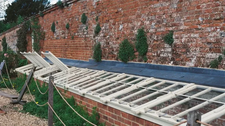 Cold Frames Give Gardeners a Practical Edge for Harvests That Stretch Past the First Frost - Featured image