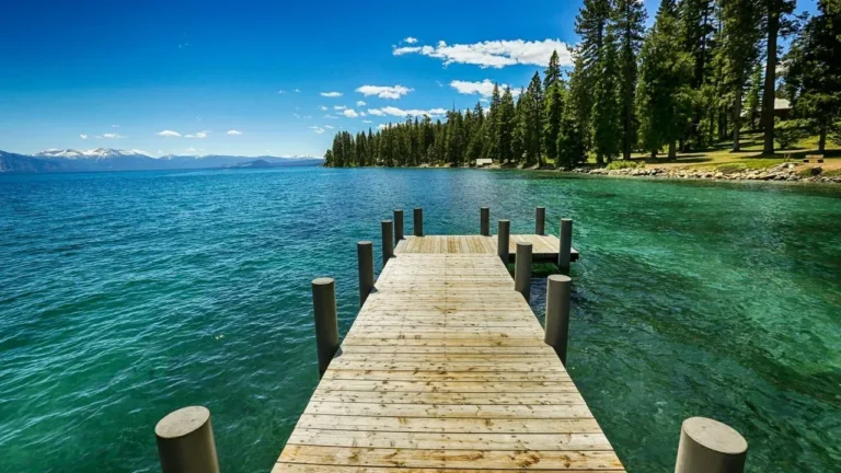 Mystery Poisonings Target Trees on Lake Tahoe Beach - Featured image