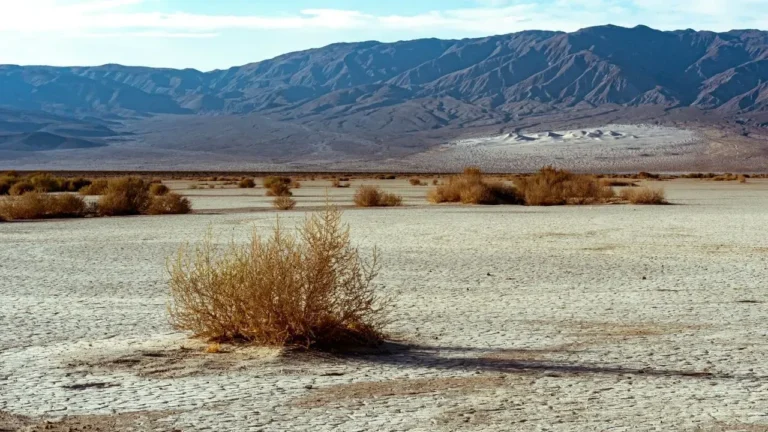 Death Valley National Park – A French tourist's decision to leave a stranded vehicle in 116-degree heat ended in tragedy last week, underscoring the swift dangers of the desert. - Featured image