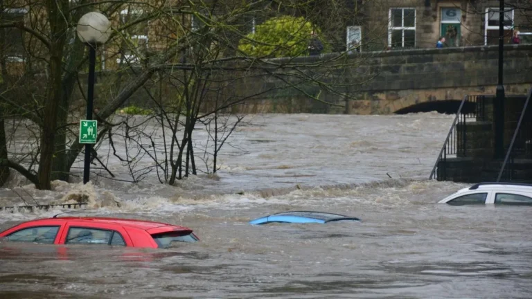 DC Storms Bring Flash Flood Risk to Gardens - Featured image