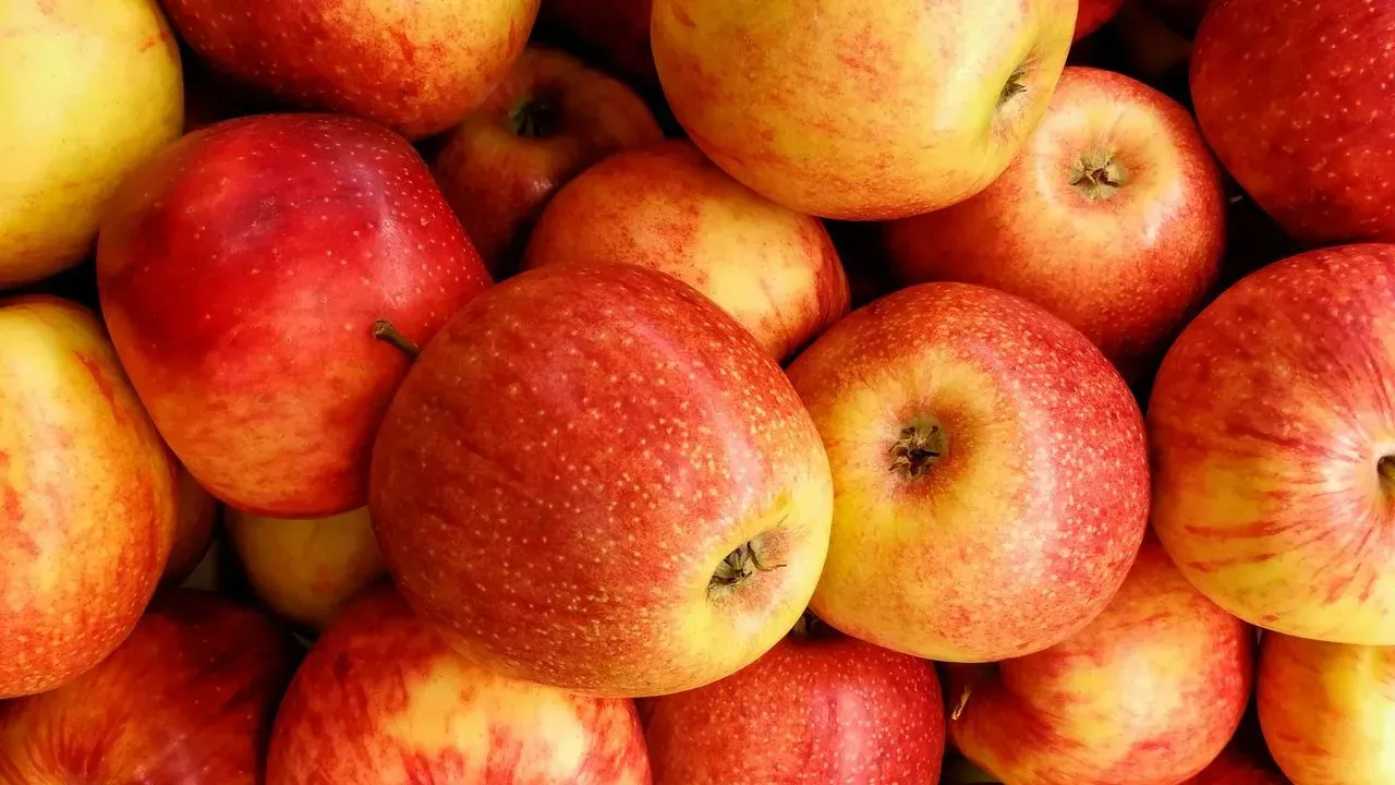 The Sound That Signals Apple Season Has Begun