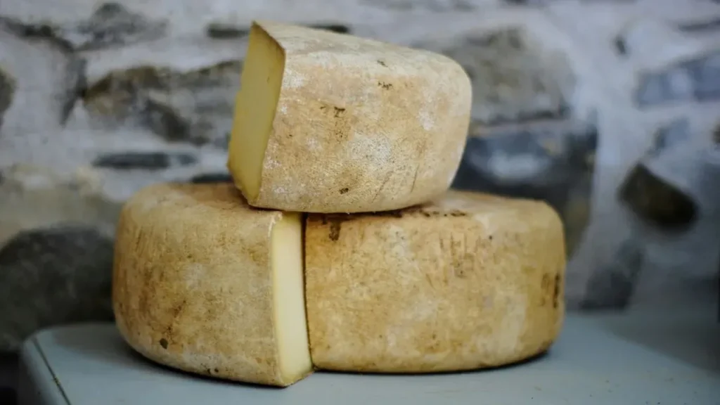 Goat Cheese Spoils Faster Than Cheddar or Parmesan - Featured image