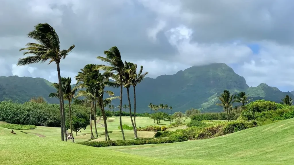 Hawaii’s Big Island Braces for Potential First Direct Hurricane Hit in 155 Years - Featured image
