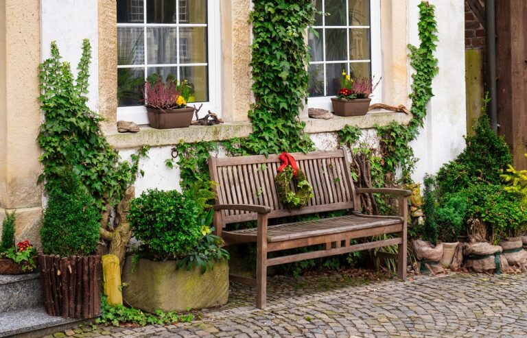 Why the Corner of Your Yard Is Always Five Degrees Colder - Featured image