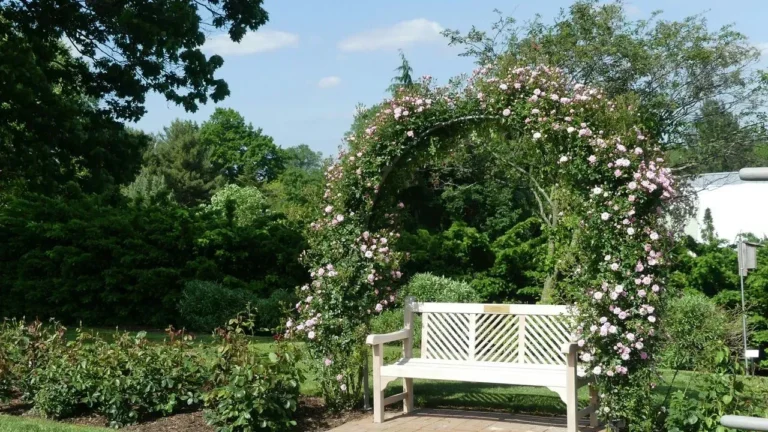 Wendy’s 48-Year Pennsylvania Garden Keeps Delivering Surprises - Featured image