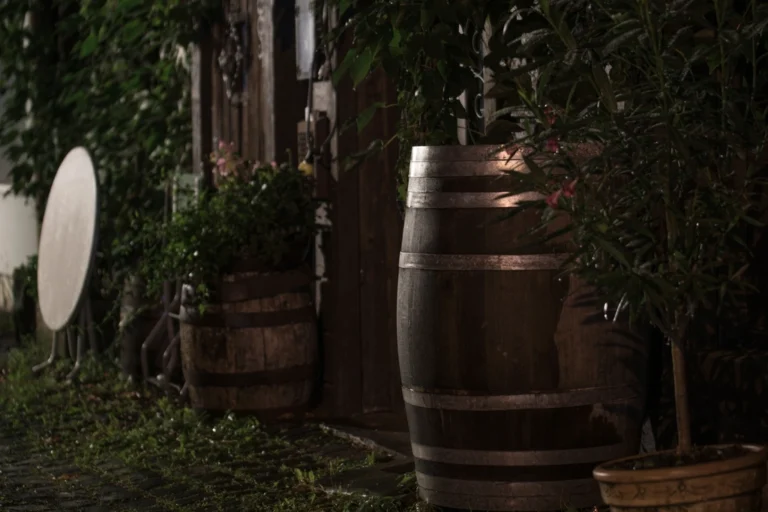 The Overflowing Rain Barrel Mistake That Turns Into a Pest Problem - Featured image