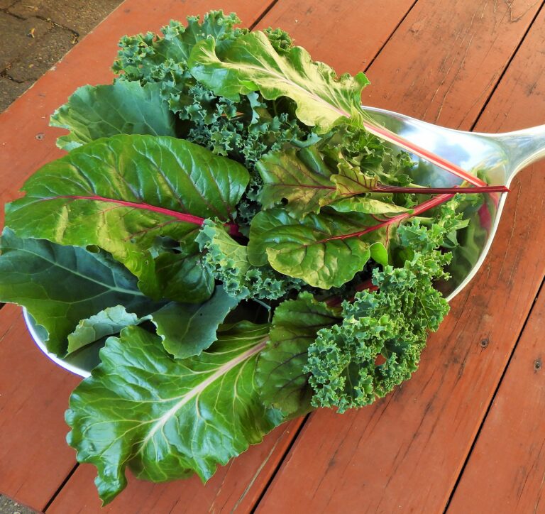 The Common Reason Bagged Salad Spoils Faster Than Loose Greens - Featured image