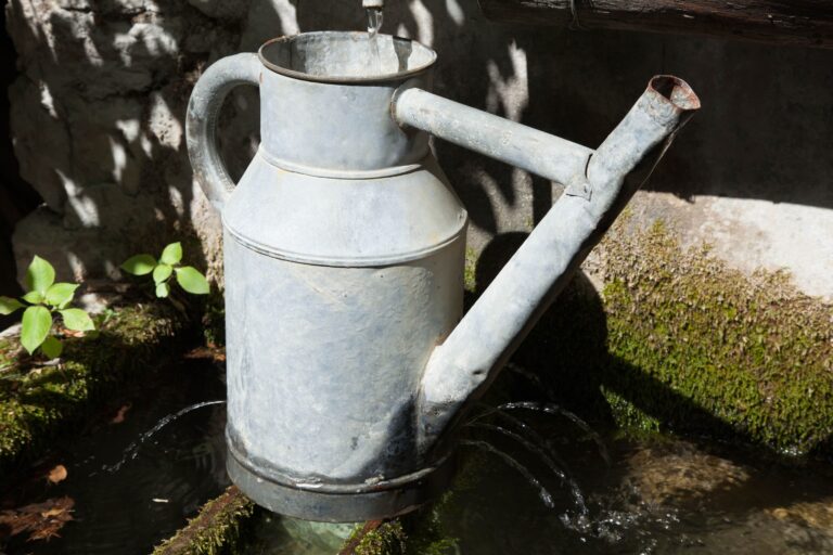 Why Vintage Watering Cans Are Becoming a Hot Antique Market - Featured image