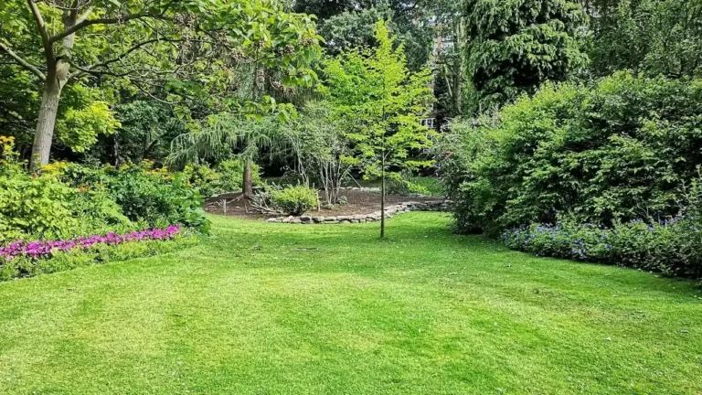 72 Garden Lovers From Across North America Flocked to Buffalo's Backyards - Featured image