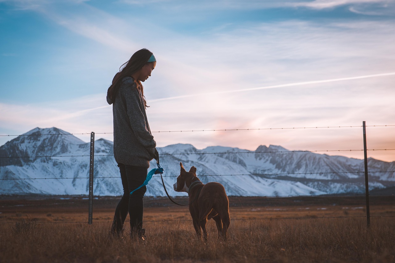 The Leash Habit That's Secretly Straining Your Dog's Neck