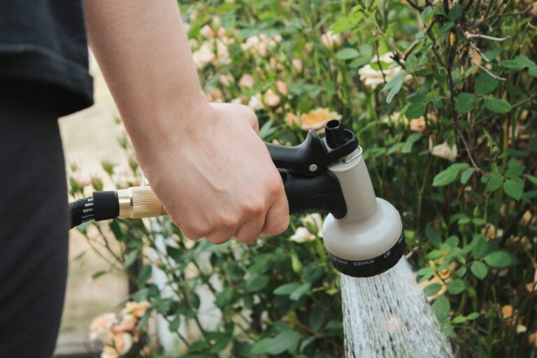 The Watering Depth Mistake That's Quietly Weakening Your Rose Roots - Featured image