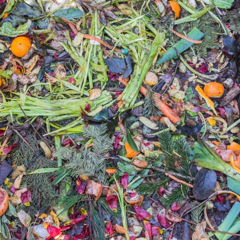 The Compost Turning Mistake That Slows Decomposition to a Crawl - Featured image