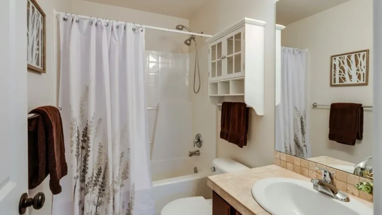 The Hidden Mold Risk in Your Shower Curtain - Featured image