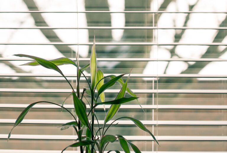 The Window Blind Habit That's Quietly Trapping Dust and Allergens - Featured image