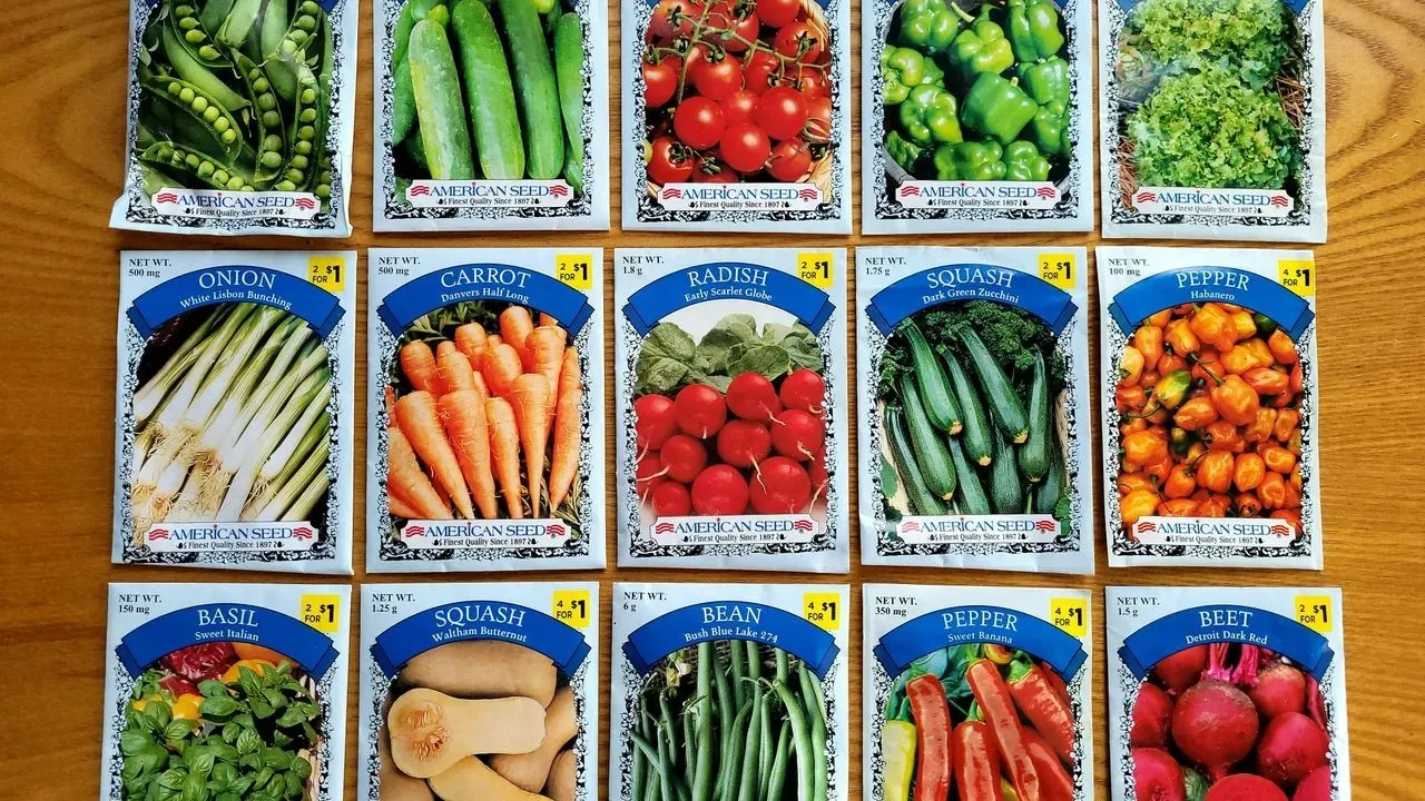 Recall Targets Seeds in Sprout Illness Outbreak