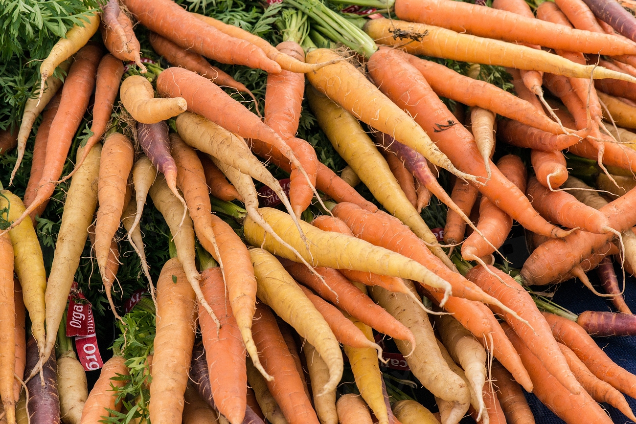 Why Your Carrots Come Out Forked and Twisted