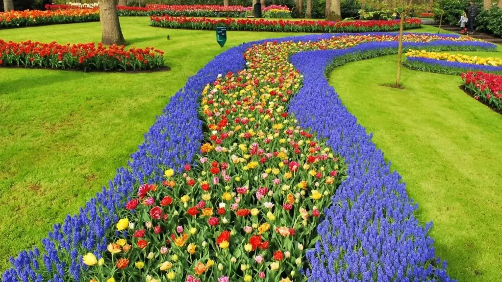 Marieke Nolsen Creates Bouquet-Like Garden in Netherlands - Featured image