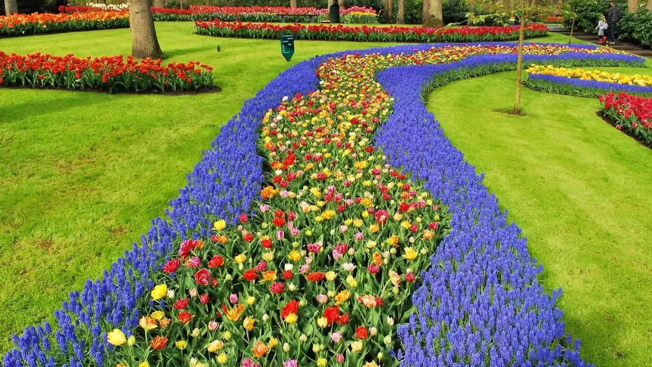 Marieke Nolsen Creates Bouquet-Like Garden in Netherlands