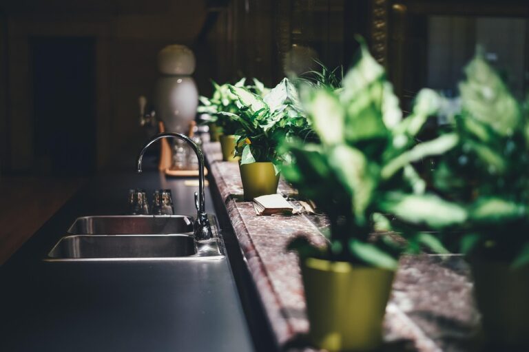 The Garbage Disposal Habit That's Secretly Dulling Its Blades - Featured image