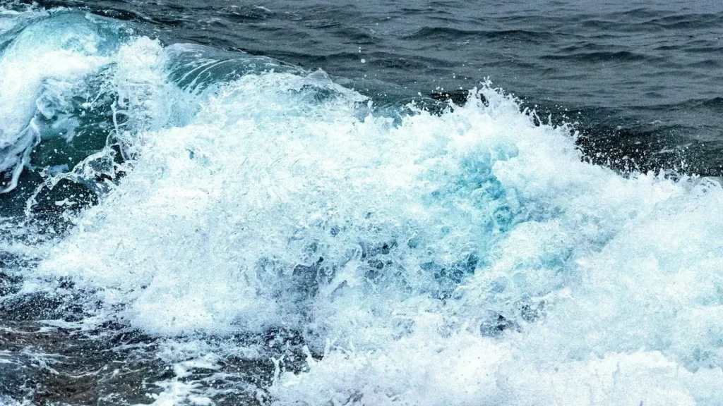 Two Hurricanes Stir Coastal Garden Risks - Featured image