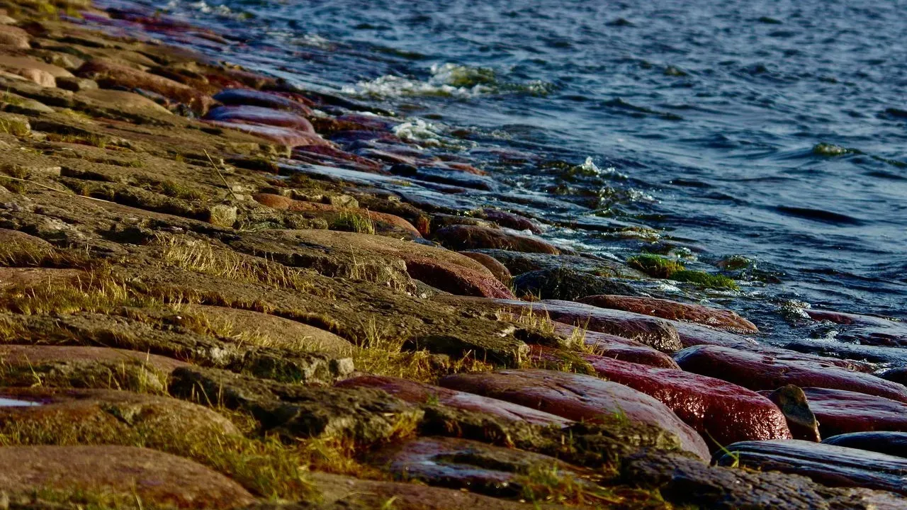 Red Tide Strikes Bolivar Peninsula Beaches