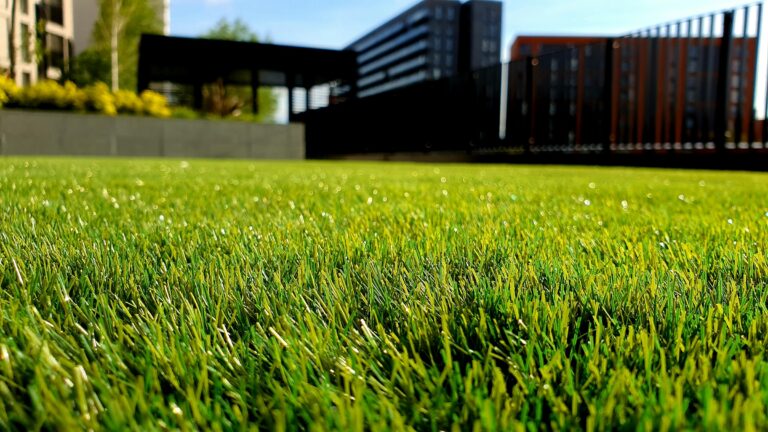 The Lawn Care Habit That Quietly Signals "New to the Neighborhood" - Featured image