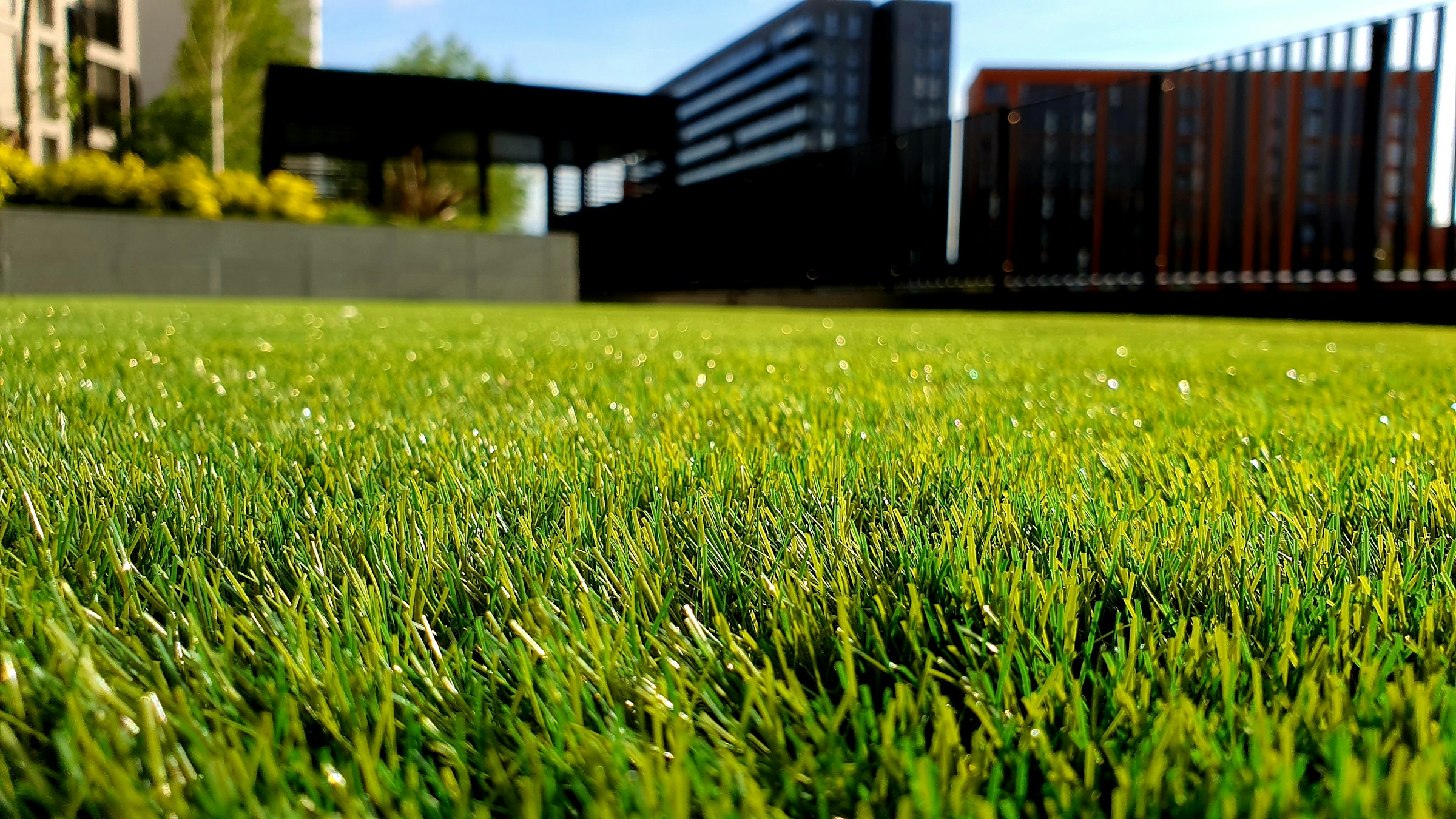 The Lawn Care Habit That Quietly Signals "New to the Neighborhood"
