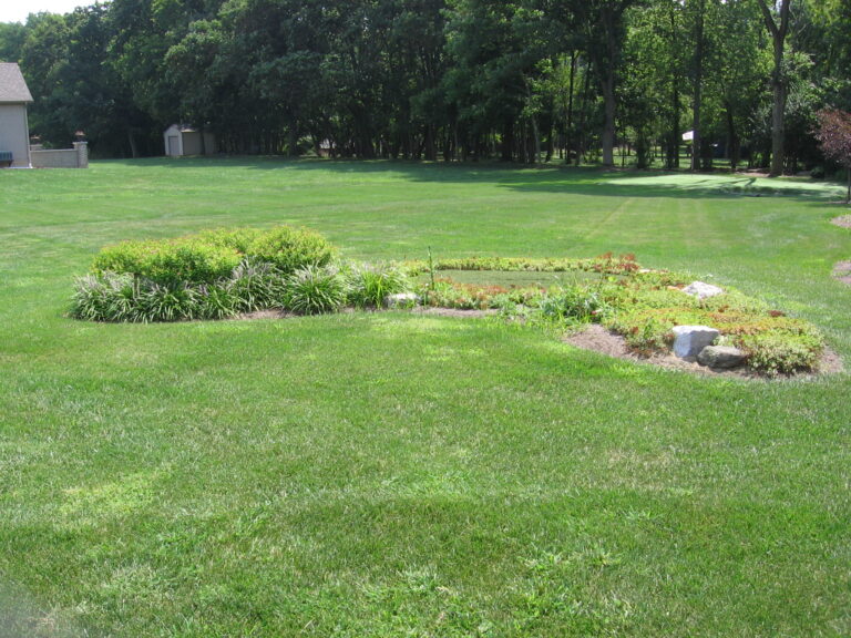 What It Means When You Find a Perfectly Round Hole in Your Yard - Featured image