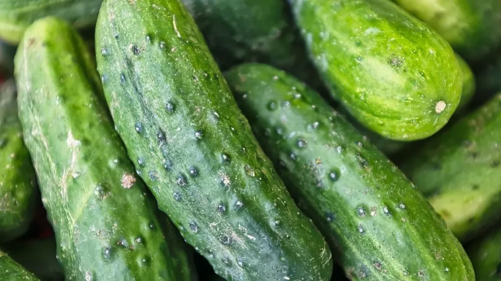 Turn Excess Cucumbers Into Tangy Vinegar Pickles - Featured image