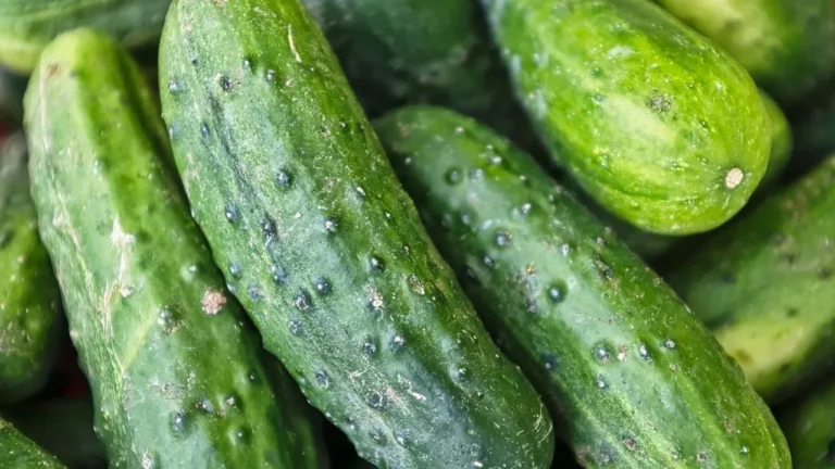 Turn Excess Cucumbers Into Tangy Vinegar Pickles - Featured image