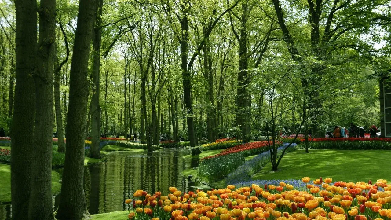 Tom DeWitte’s Naturalistic Dutch Garden
