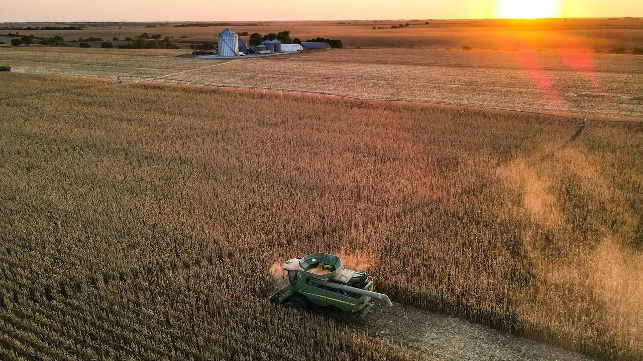 Milk Line Test Signals Ideal Corn Harvest
