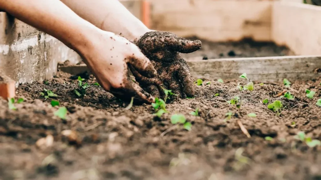 The Mental Strain Behind Professional Gardening - Featured image